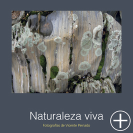 Naturaleza viva