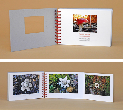 libro despieceoct